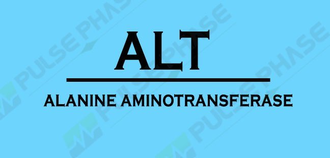 Full form of ALT,