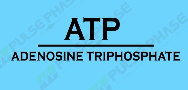 ATP Full form