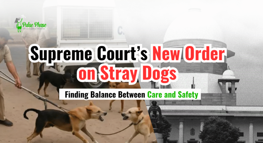 Supreme Court’s New Order on Stray Dogs: Finding Balance Between Care and Safety